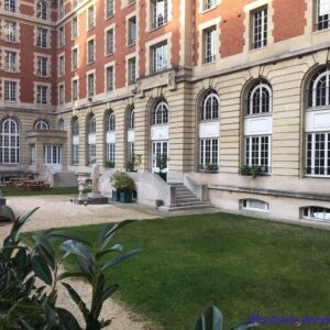 jardin-300x300-1 Photo of the courtyard